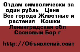 Отдам символически за один рубль › Цена ­ 1 - Все города Животные и растения » Кошки   . Ленинградская обл.,Сосновый Бор г.